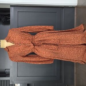 Leopard Print Button-Up Dress